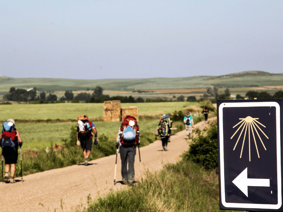 The Portuguese Way to Santiago - gallery 4