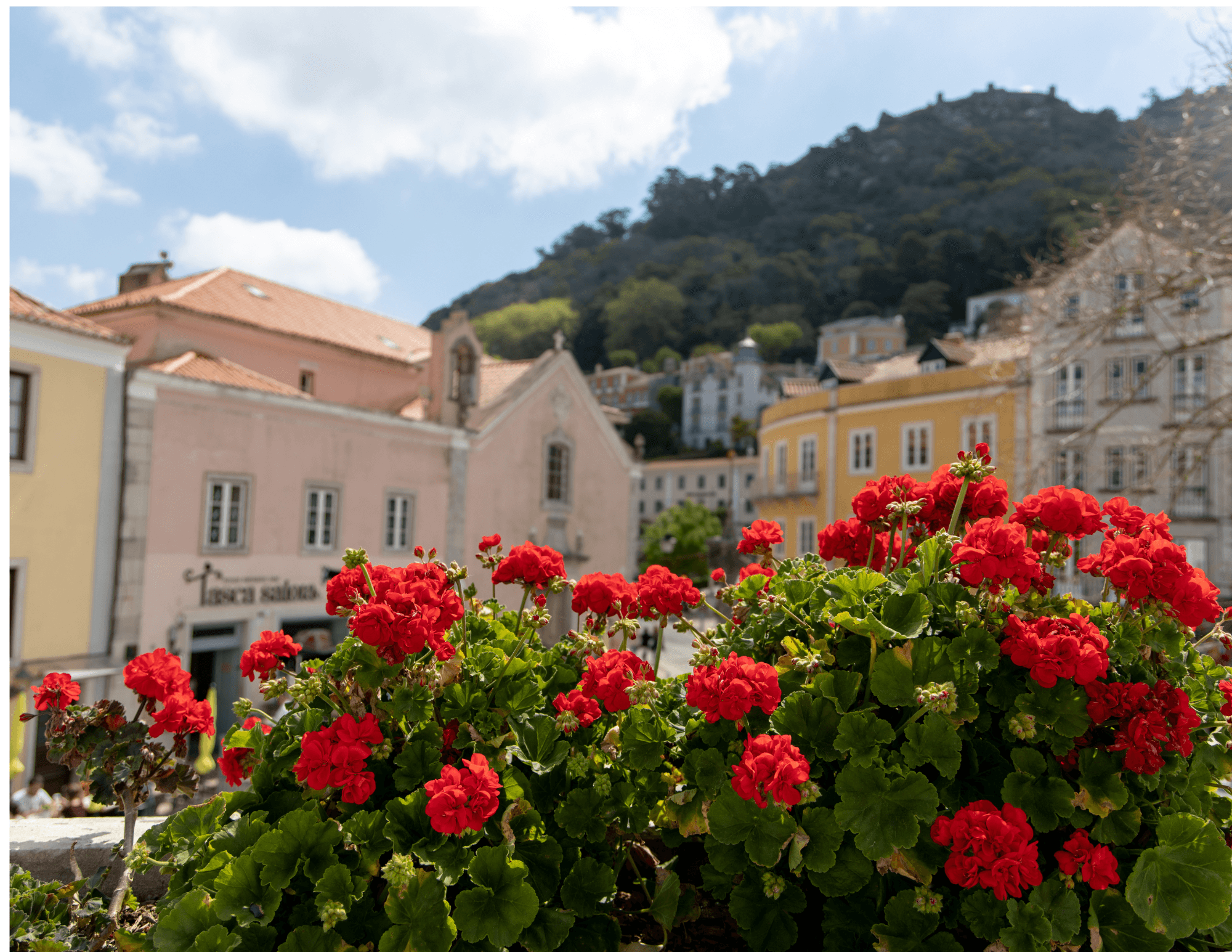 Un viaje de cuento de hadas a Sintra y Cascais - galería 5