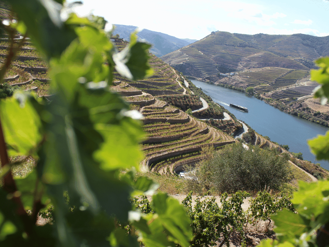 5 Jours Essentiels du Portugal - Itinéraire
