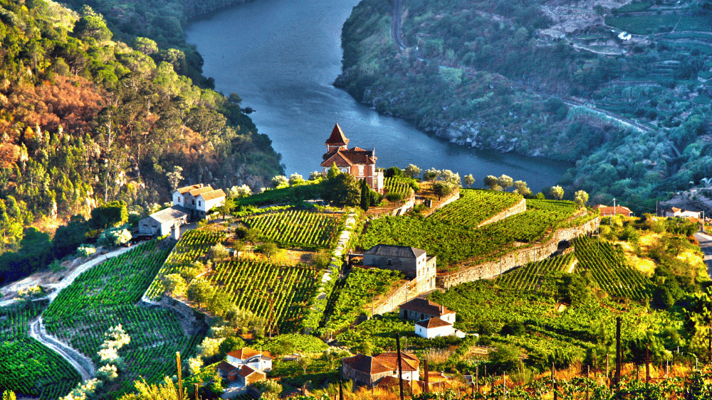 Jour 5 – Vallée du Douro | Vignobles, vin & paysages à couper le souffle