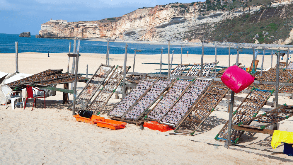 Day 3 – Fátima | Portugal's Spiritual & Coastal Heritage