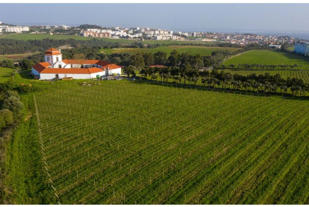 Oeiras & Caxias Wine Experience